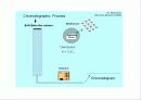 HPLC - Liquid Chromatography 12페이지
