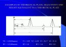 HPLC - Liquid Chromatography 28페이지