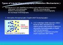 HPLC - Liquid Chromatography 37페이지