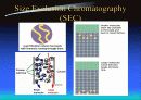 HPLC - Liquid Chromatography 48페이지