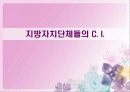 지방자치단체들의 C. I. 1페이지