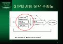 STP전략_성공사례 - STP전략, 성별 주요 가입동기, 포지셔닝전략, 상품 전략 3페이지