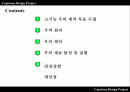 창의 공학 신소재 발명 고기능 우의 우산 (저가형 고기능 우의 제작) 2페이지