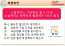 소셜커머스 (Social Commerce) 시장 분석 및 장단점과 피해유형 분석과 해결방안 제시 36페이지