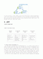 대구 섬유산업과 IT산업의 국제화전략의 비교 19페이지