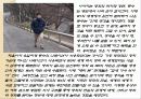 극장전(여배우를 만나다) 영화소개 및 줄거리 논평 8페이지