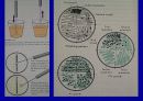 임상미생물검사 12페이지