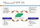 미원(Miwon)의 인도네시아 진출 성공전략 18페이지