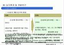 리조트자금유치사업계획서 (리조트 개발 사업계획서) 17페이지