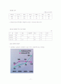 다국적기업론- 우리나라 다국적기업의 현황과 해외진출전략 17페이지