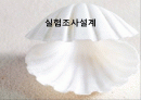 실험조사설계 1페이지