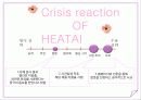 멜라민파동 15페이지