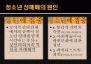 성비행, 청소년 성매매 (대책중심) 12페이지