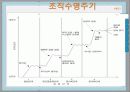 사이 좋은 세상 싸이월드  24페이지