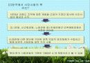 21세기 한국 기업의 사회 공헌활동과 NGO 4페이지