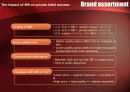 Understanding retail branding: conceptual insights and research priorities 12페이지