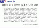 월마트와 까르푸의 성공요인 및 한국 시장에서의 실패요인 분석 33페이지