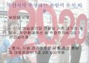 2020부산하계올림픽_개최의_경제적효과와_그_타당성 6페이지