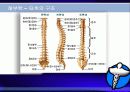 요통의 예방과 운동 (Low Back Pain  - 일반인을  위한 교육 강좌) 7페이지