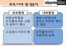 글라소 비타민 워터 제품 분석 및 마케팅 전략 분석 7페이지