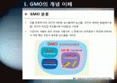 [GMO]GMO(유전자조작식품)의 정의, 특징 및 장단점과 gmo 논란에 대한 나의 생각 - gmo 개념, 재배 현황, 필요성 및 문제점, 전망 등 4페이지