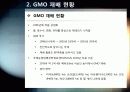 [GMO]GMO(유전자조작식품)의 정의, 특징 및 장단점과 gmo 논란에 대한 나의 생각 - gmo 개념, 재배 현황, 필요성 및 문제점, 전망 등 8페이지