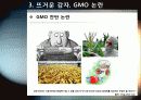 [GMO]GMO(유전자조작식품)의 정의, 특징 및 장단점과 gmo 논란에 대한 나의 생각 - gmo 개념, 재배 현황, 필요성 및 문제점, 전망 등 14페이지