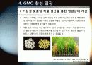 [GMO]GMO(유전자조작식품)의 정의, 특징 및 장단점과 gmo 논란에 대한 나의 생각 - gmo 개념, 재배 현황, 필요성 및 문제점, 전망 등 19페이지