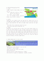  - 대성그룹의 몽골 및 후진국 진출 - 12페이지