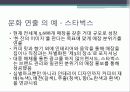 문화마케팅 22페이지