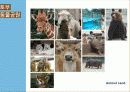 생물형 테마파크 (Nature&Life) - 토부 동물공원 구성과 마케팅 53페이지