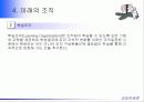 [경영조직]조직화의 의의 조직구조의 구성요소와 종류 31페이지