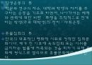 대학생문화와 촛불집회의 변화양상 (연도별 학생운동, 민주화운동) 3페이지