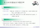 소비자행동과 제품, 가격 및 유통전략 13페이지