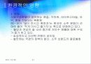 소비자 행동론(참이슬) 참이슬 구매에 따른 의사결정과정 28페이지