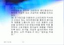 소비자 행동론(참이슬) 참이슬 구매에 따른 의사결정과정 30페이지