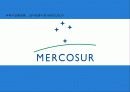 국제기업환경론 _ 남미공동시장 MERCOSUR  1페이지