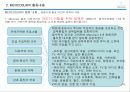 국제기업환경론 _ 남미공동시장 MERCOSUR  8페이지