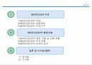 국제기업환경론 _ 남미공동시장 MERCOSUR  17페이지