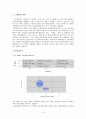  대구지역 중소기업의 국제경영전략 수립_미리넷솔라의 미국진출전략수립 5페이지