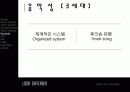 아이돌 그룹의 진화과정 23페이지