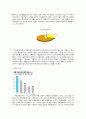 국민연금의 고갈문제와 해결방안 14페이지