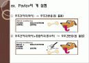 정교화 가능성 모델 &고전적 조건화 12페이지