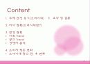 소녀시대 광고가 소비자 구매행동에 미치는 영향 2페이지