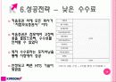 키움증권 기업 분석 31페이지