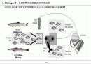 데이터마이닝소개(Data mining) Ver2.0 2페이지