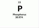 인(Phosphorus) -15 PPhosphorus30.974   1페이지