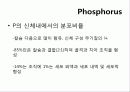 인(Phosphorus) -15 PPhosphorus30.974   2페이지