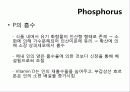 인(Phosphorus) -15 PPhosphorus30.974   3페이지