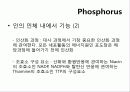 인(Phosphorus) -15 PPhosphorus30.974   5페이지